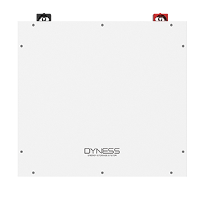 Dyness DL5.0C 51.2V, 100A Lithium Battery