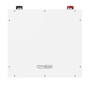 Dyness DL5.0C 51.2V, 100A Lithium Battery