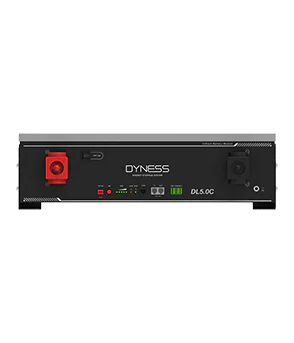 Dyness DL5.0C 51.2V, 100A Lithium Battery - Image 3